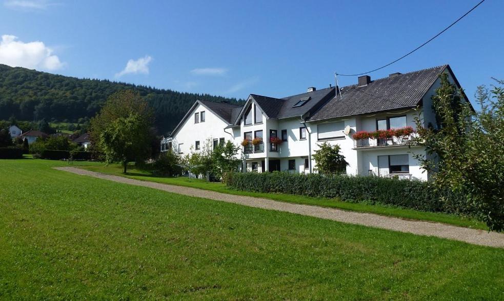 Osann-MonzelWeingut Harald Ludwig公寓 外观 照片