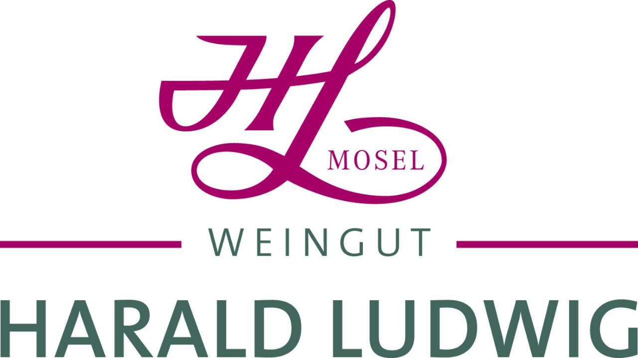 Osann-MonzelWeingut Harald Ludwig公寓 外观 照片