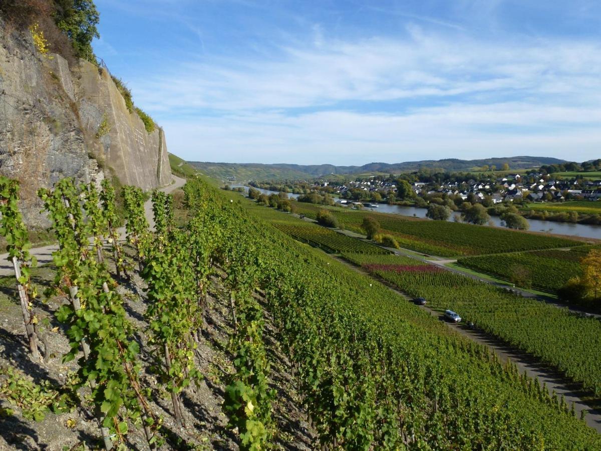 Osann-MonzelWeingut Harald Ludwig公寓 外观 照片