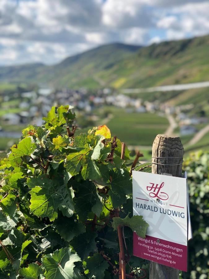 Osann-MonzelWeingut Harald Ludwig公寓 外观 照片