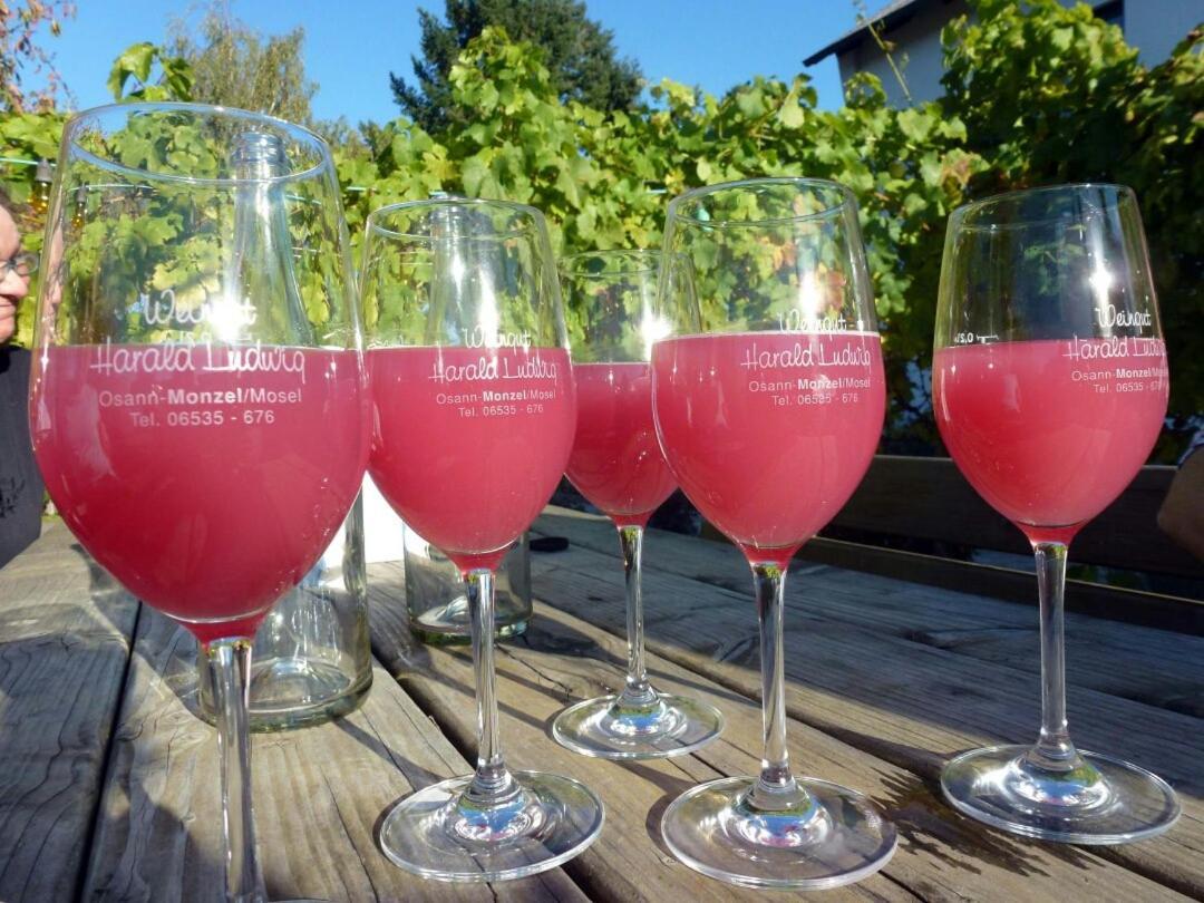 Osann-MonzelWeingut Harald Ludwig公寓 外观 照片
