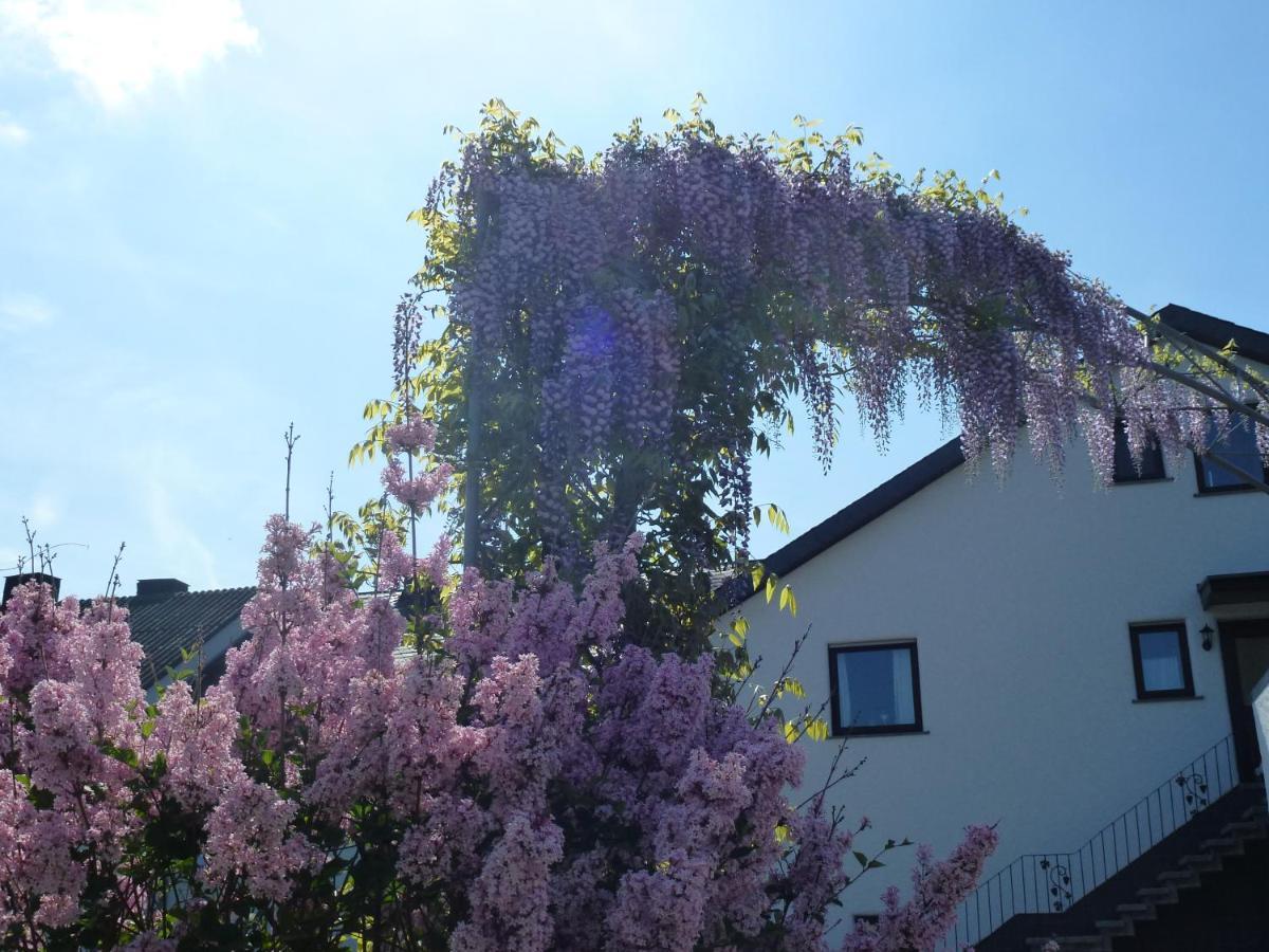 Osann-MonzelWeingut Harald Ludwig公寓 外观 照片