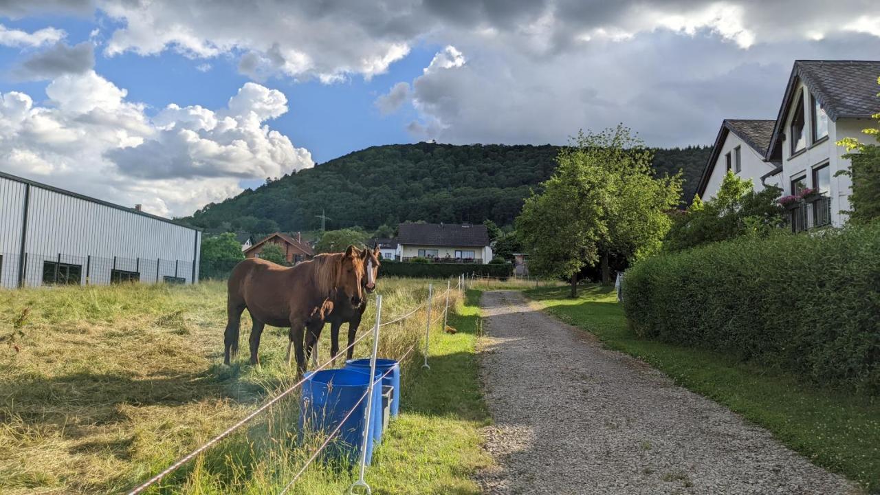 Osann-MonzelWeingut Harald Ludwig公寓 外观 照片